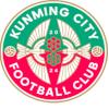 昆明城星logo